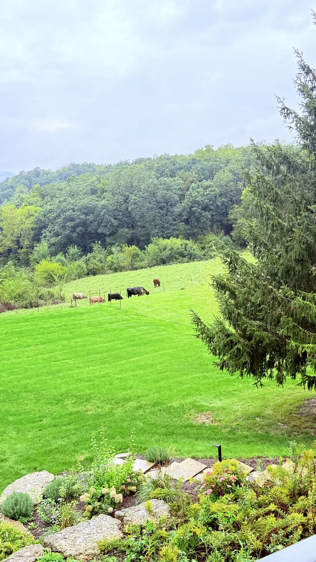 The view over pasture and wooded hills